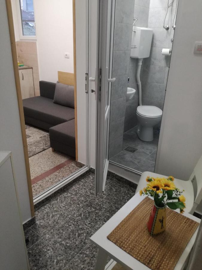 Mini Studio - One Traveler Apartment เบลเกรด ภายนอก รูปภาพ